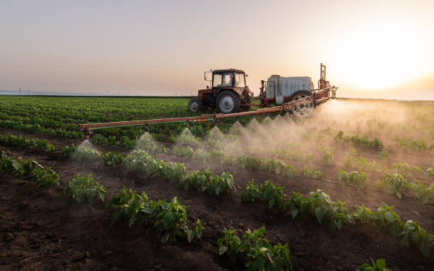 Best Commercial Pest Control Services  in Bayside Gardens, OR