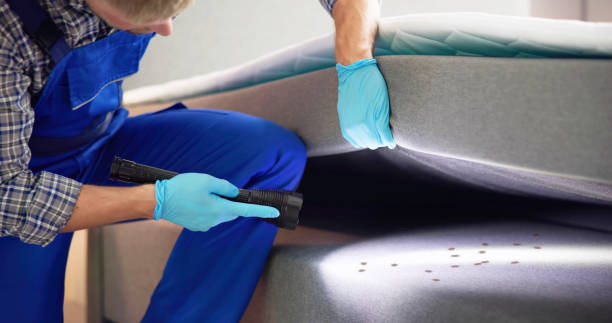 Best Exterminator Services  in Bayside Gardens, OR