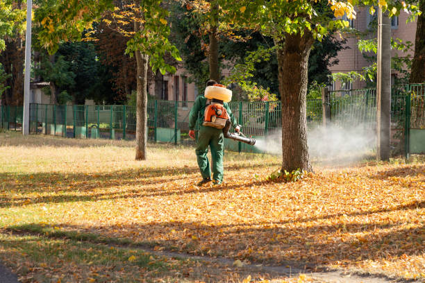 Best Best Pest Control Companies  in Bayside Gardens, OR
