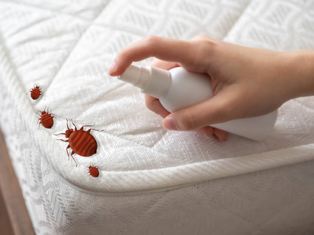 Bayside Gardens, OR Pest Control Company